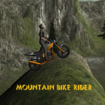 Play Mountain Bike Rider