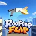 Play Rooftop Flip