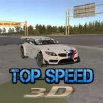 Play Top Speed 3D