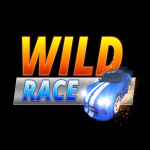 Play Wild Race